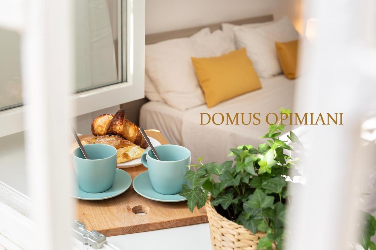 ローマDomus Opimianiアパートメント エクステリア 写真
